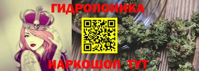 apvp Берёзовский