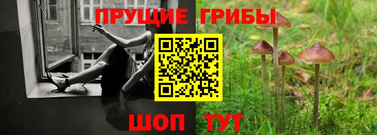 Галлюциногенные грибы мицелий Кимовск