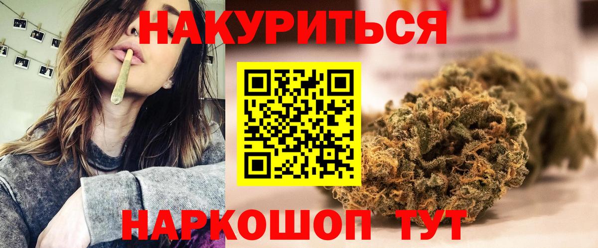 Канабис сатива Кимовск